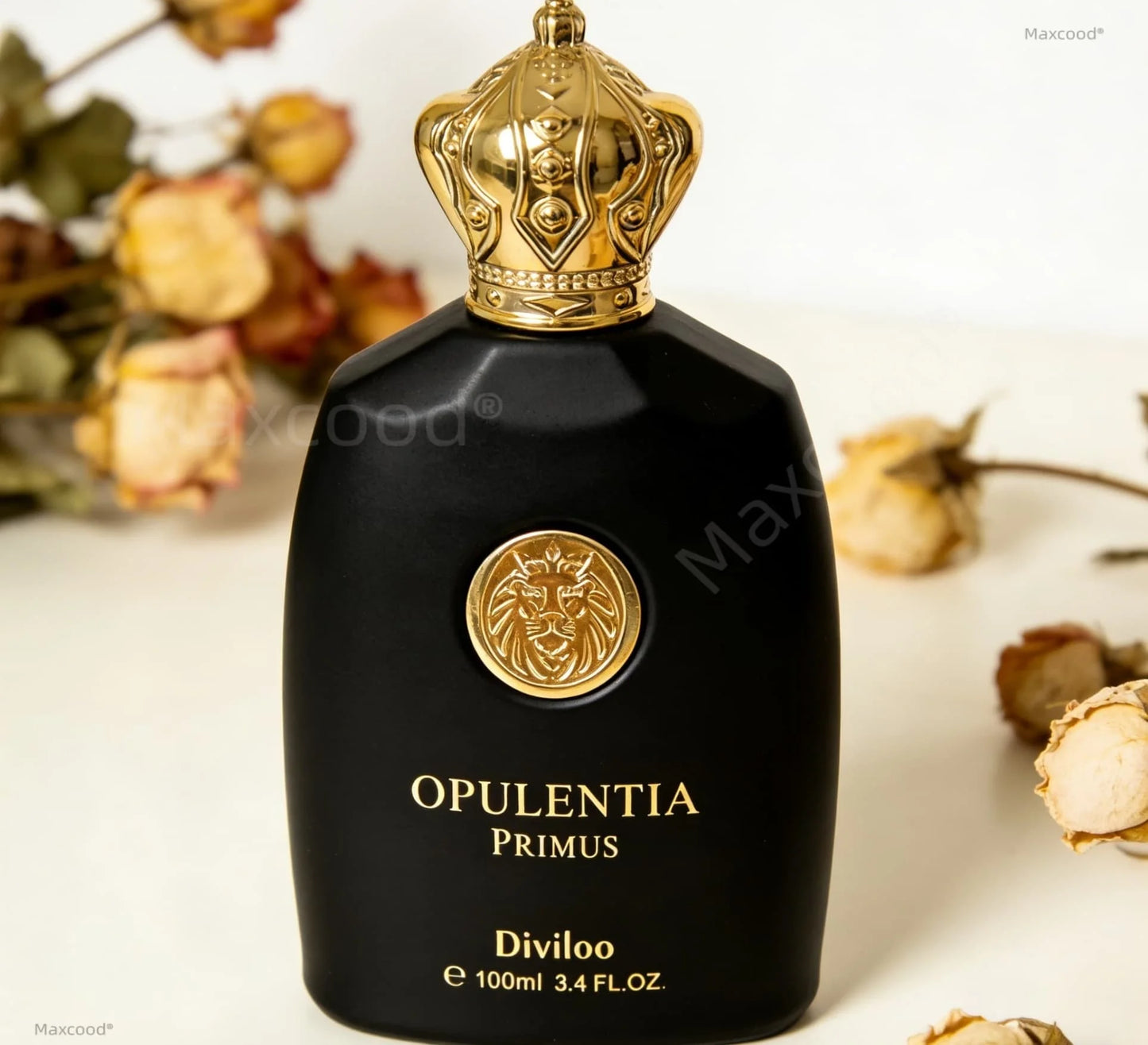 Woody and fruity Men Luxury Long lasting fragrance suitable for everyday use For Holiday Anniversary Gift Perfume Valentine's Increase Charm Confidence Dating Unique Christmas Ideal for Gift for all seasons Hypoallergeni