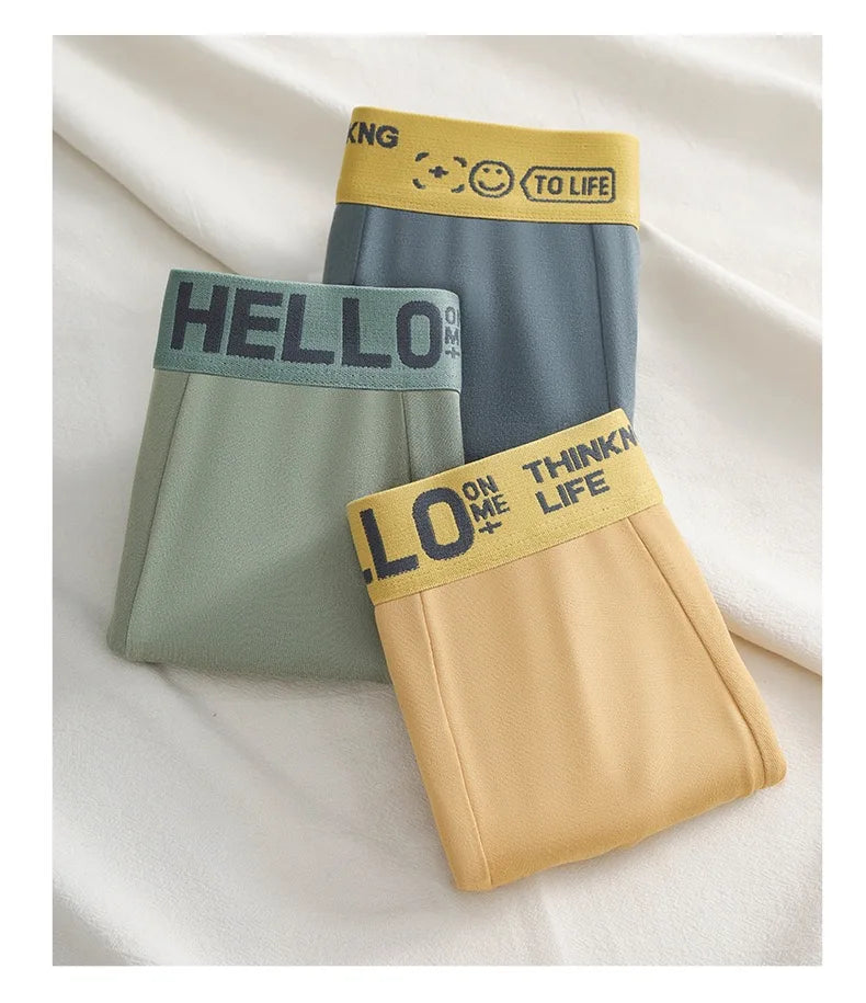 Men's Mid-Waist Thin Briefs Breathable Comfortable Large Size Sports Boxer Shorts Youth Flat Briefs Underwear Polyester Fiber